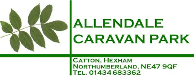 Allendale Holidays Logo